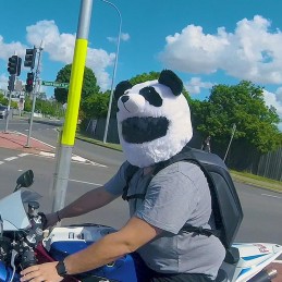 Návlek na prilbu Motoloot panda